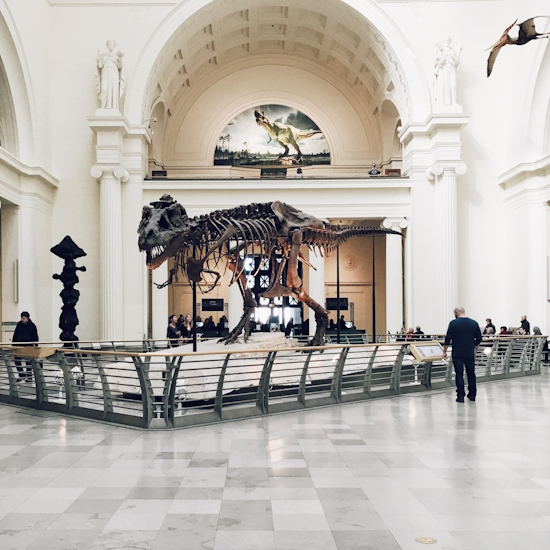 Dinosaur at an art gallery